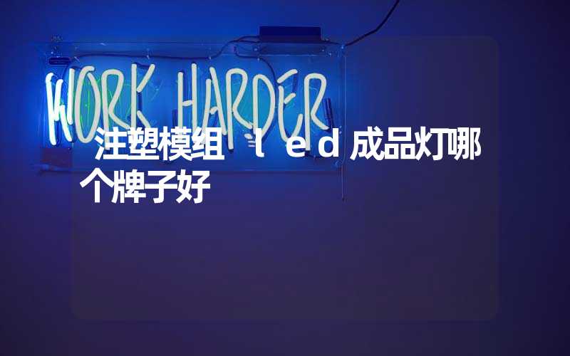 注塑模组 led成品灯哪个牌子好